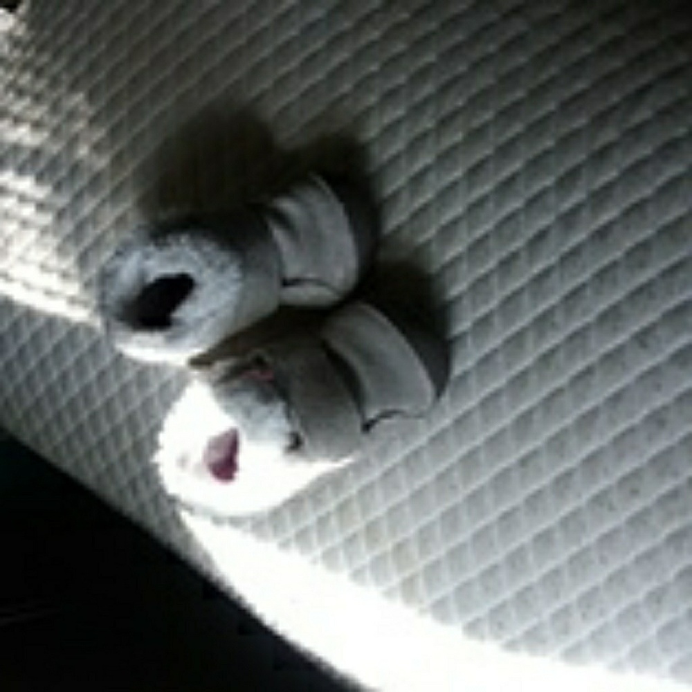 Fleece insulated suedo booties